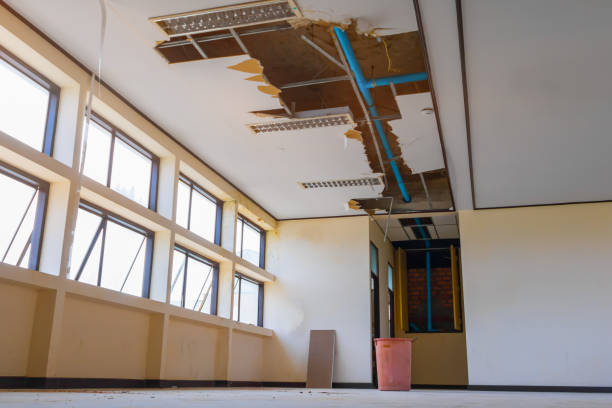 Best Water damage repair service  in Annandale, NJ