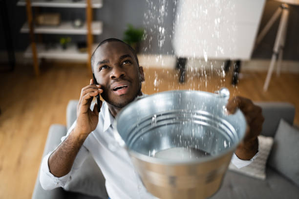 Best Water damage restoration near me  in Annandale, NJ