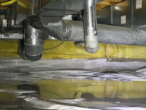 Best Flood damage cleanup  in Annandale, NJ