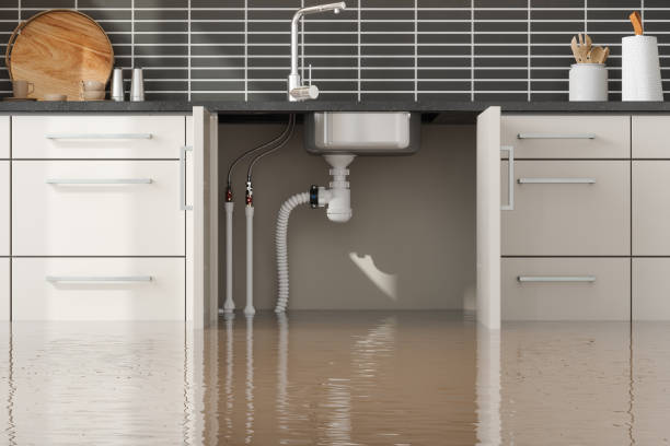 Best Water damage restoration services  in Annandale, NJ