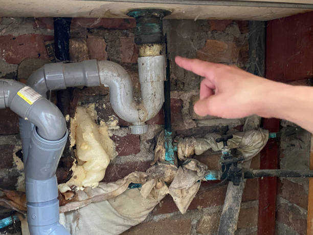 Best Water damage restoration near me  in Annandale, NJ